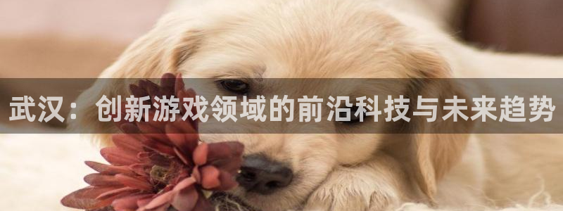 庄闲最科学玩法：武汉：创新游戏领域的前沿科技与未来趋势
