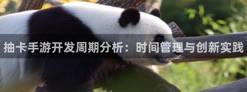 庄闲的游戏创始人是谁：抽卡手游开发周期分析：时间管理与创新实