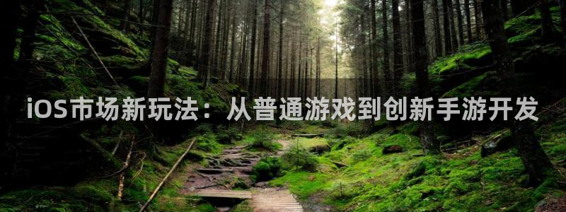 庄闲游戏补牌规则：iOS市场新玩法：从普通游戏到创新手游开发