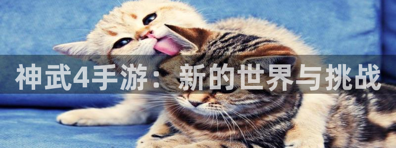 庄闲玩法规则详解：神武4手游：新的世界与挑战
