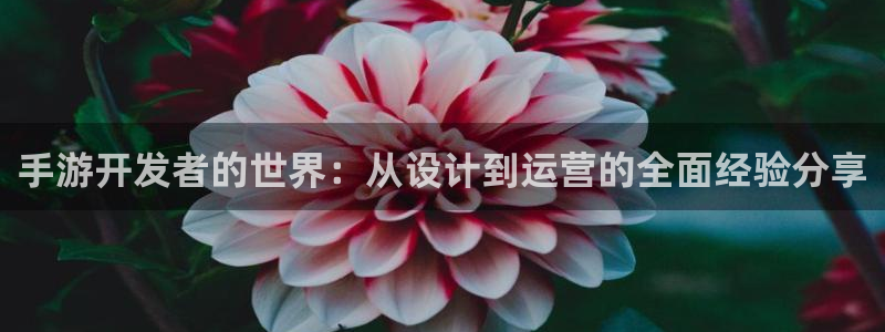 庄闲稳赢的公式方法：手游开发者的世界：从设计到运营的全面经验