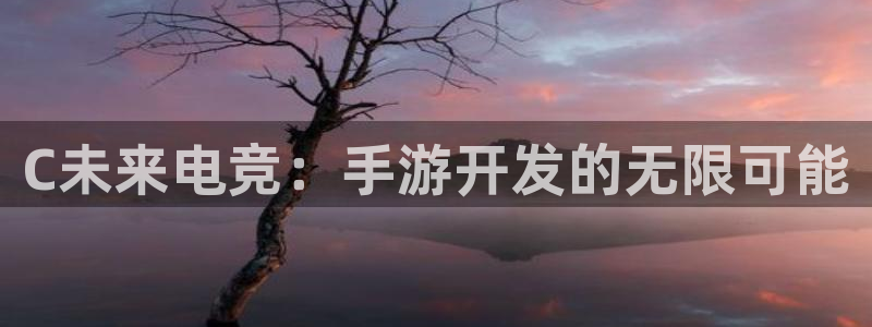 澳门庄闲网站游戏：C未来电竞：手游开发的无限可能