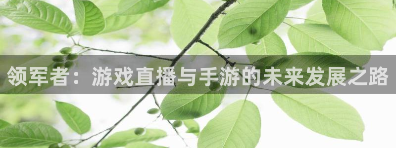 庄闲玩法麻将：领军者：游戏直播与手游的未来发展之路