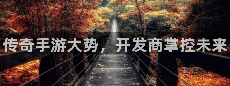 庄闲游戏在哪：传奇手游大势，开发商掌控未来