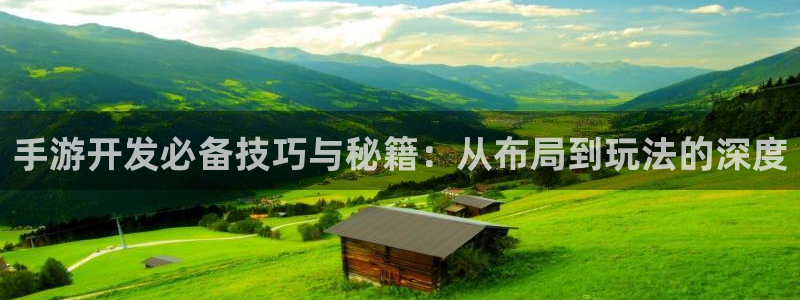 庄闲和游戏：手游开发必备技巧与秘籍：从布局到玩法的深度
