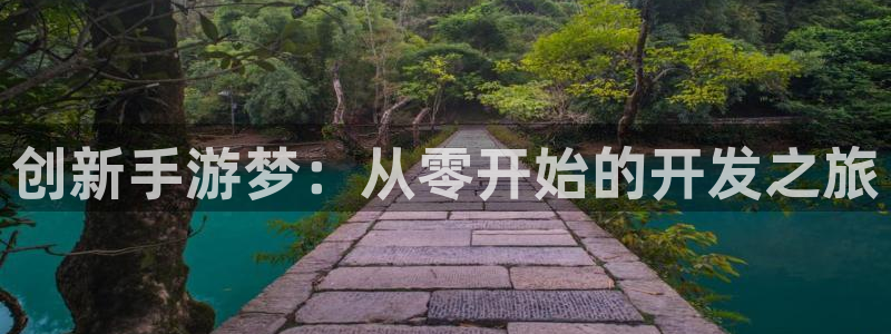 庄闲游戏手机版：创新手游梦：从零开始的开发之旅