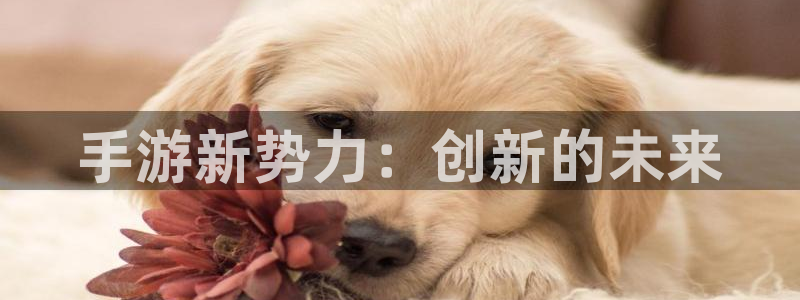 庄闲游戏程序：手游新势力：创新的未来