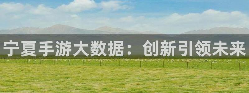 庄闲游戏版本：宁夏手游大数据：创新引领未来