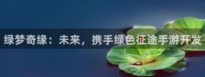 庄闲和规则规则：绿梦奇缘：未来，携手绿色征途手游开发