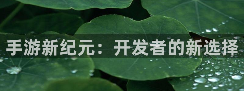 庄闲游戏：手游新纪元：开发者的新选择