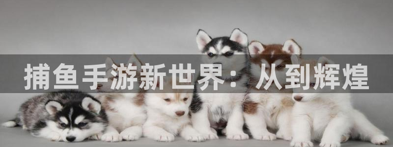 庄闲的游戏叫什么：捕鱼手游新世界：从到辉煌