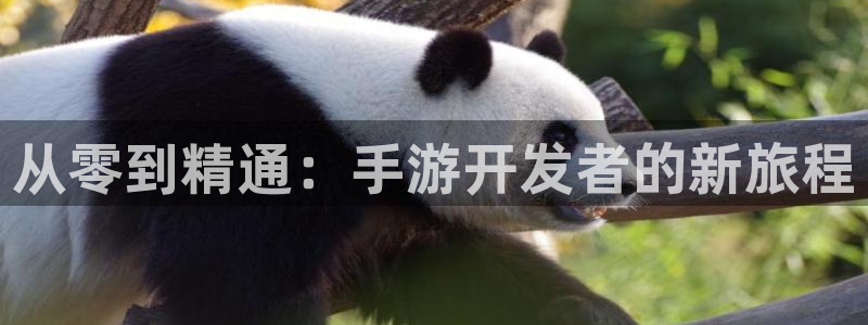 庄闲游戏有几个版本：从零到精通：手游开发者的新旅程