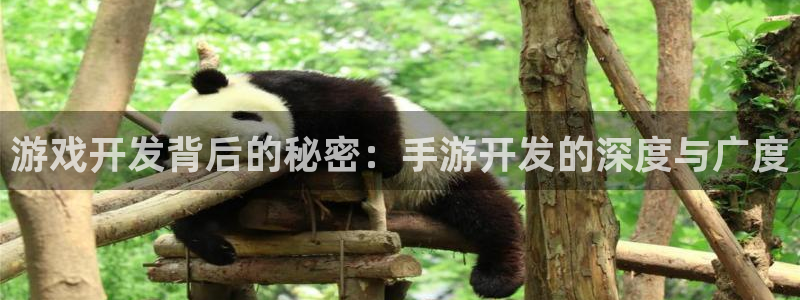 庄闲app娱乐下载：游戏开发背后的秘密：手游开发的深度与广度