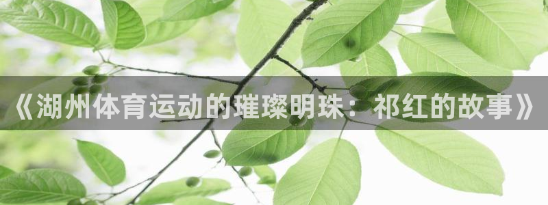 betway西汉姆：《湖州体育运动的璀璨明珠：祁红的故事》