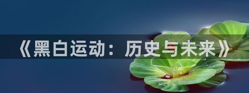 必威betway西汉姆联：《黑白运动：历史与未来》