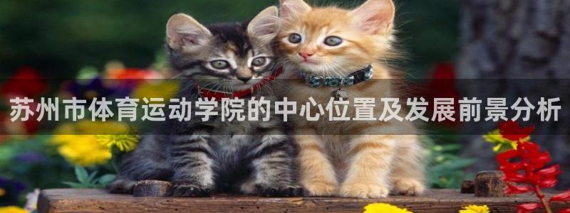 betway西汉姆：苏州市体育运动学院的中心位置及发展前景分析