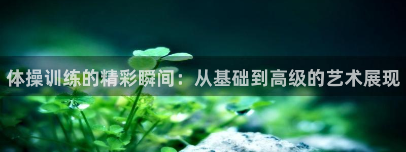 betway西汉姆联官网：体操训练的精彩瞬间：从基础到高级的艺术展现