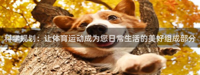 betway西汉姆官网：科学规划：让体育运动成为您日常生活的美好组成部分