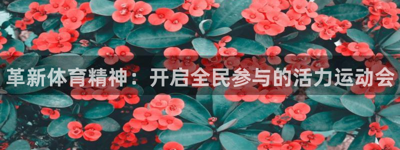 betway西汉姆联：革新体育精神：开启全民参与的活力运动会