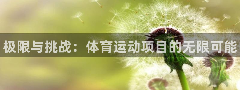 betway西汉姆：极限与挑战：体育运动项目的无限可能