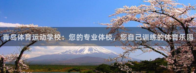 betway西汉姆官网：青岛体育运动学校：您的专业体校，您自己训练的体育乐园