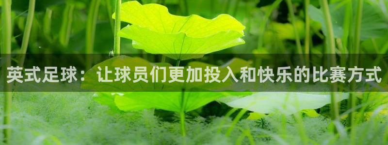 betway西汉姆：英式足球：让球员们更加投入和快乐的比赛方式
