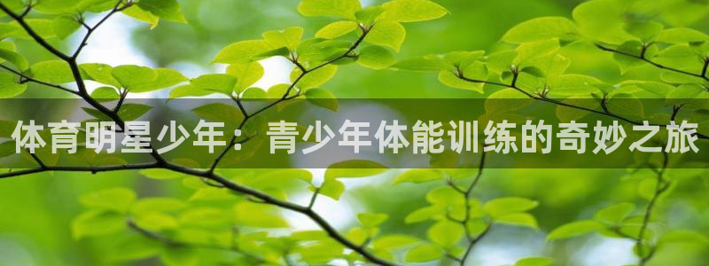 betway西汉姆联官网：体育明星少年：青少年体能训练的奇妙之旅