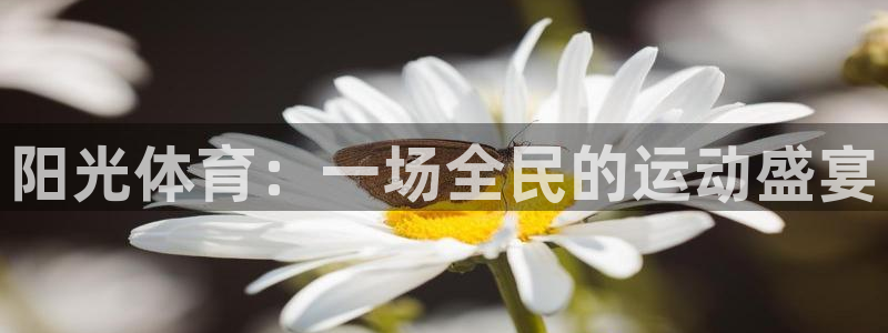 betway西汉姆联：阳光体育：一场全民的运动盛宴